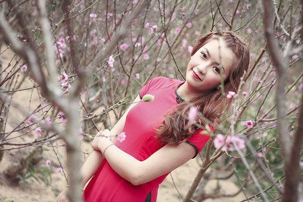 Hoa Mai Anh Đào bất ngờ nở rực hồng phố núi Đà Lạt